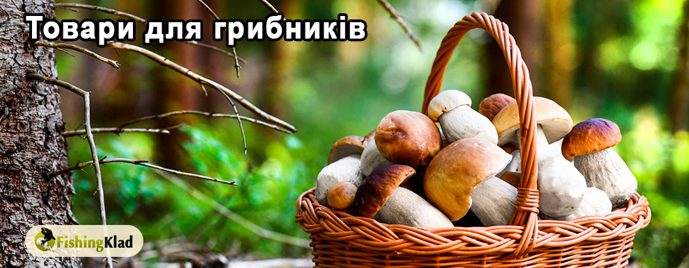 гриби