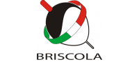 Briscola