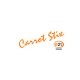 Риболовне спорядження E-21 Carrot Stix