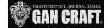 Gan Craft