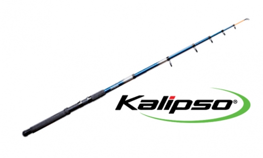 Спінінг Kalipso