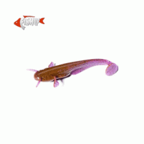 Силикон Fish Up Catfish 3 #016