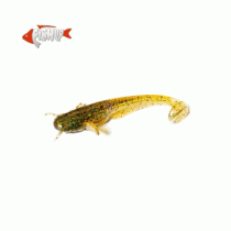 Силикон Fish Up Catfish 3 #036