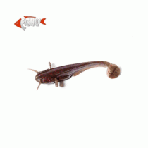 Силикон Fish Up Catfish 3 #050