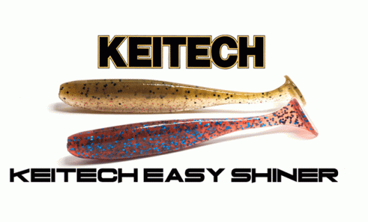 Силікон Keitech Easy Shiner 3