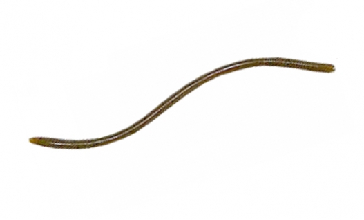 Силикон Reins Swamp Worm Micro 2.8