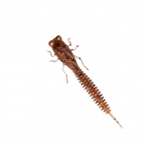 Силикон Fanatik X-Larva 3" #006