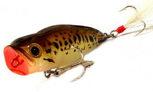 Воблер Evergreen Combat Popper Bambino 55F