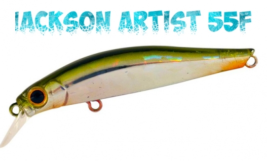 Воблер Jackson Artist 55F