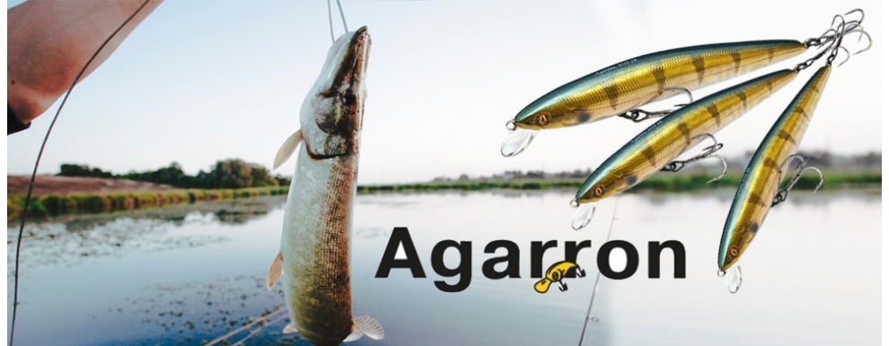 agaron-003