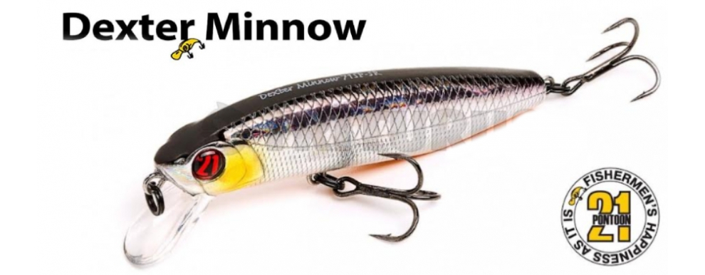 dexter-minnov