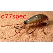 Воблер Stepanow Owady 20F #77