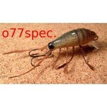 Воблер Stepanow Owady 20F #77