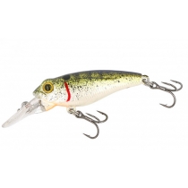 Strike Pro Pygmy 40 #SE01F