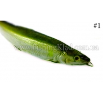 T.H. Tackle DELTA AYU 160 #AYU