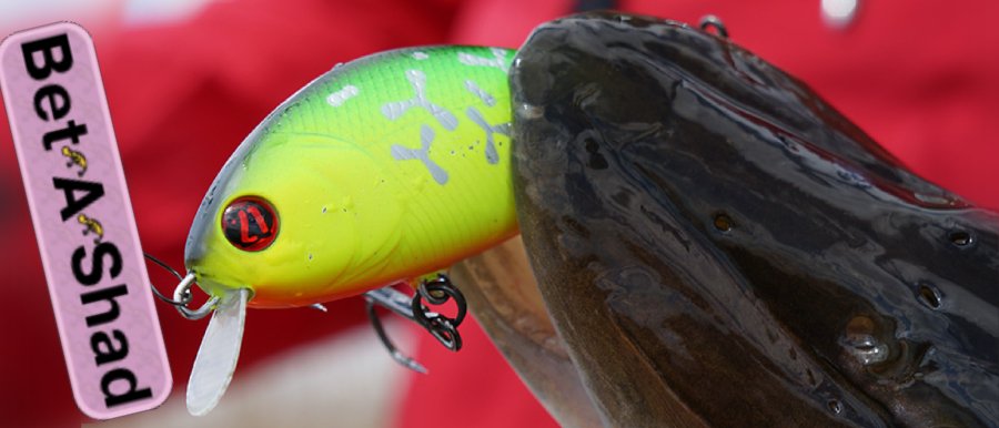 Воблер Pontoon 21 Bet-A-Shad